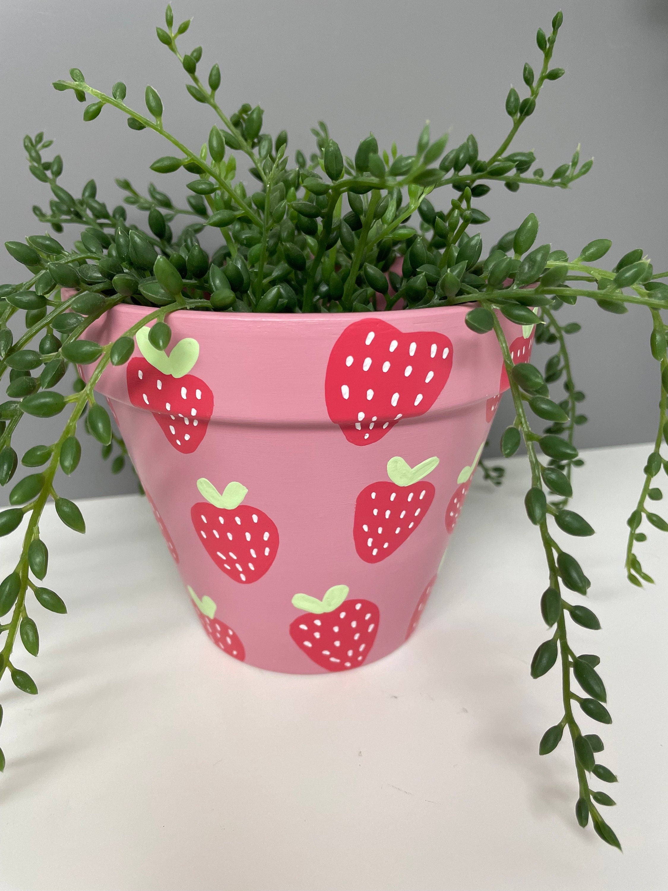 Stawberry Pink hand painted terracotta plant pot, indoor plants, home plants, custom plant pots.
