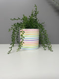 Hand Painted Ceramic Plant Pot, Pastel Rainbow Stripe Design.