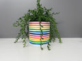 Hand Painted Ceramic Plant Pot, Rainbow Stripe Design. Bright plant pot