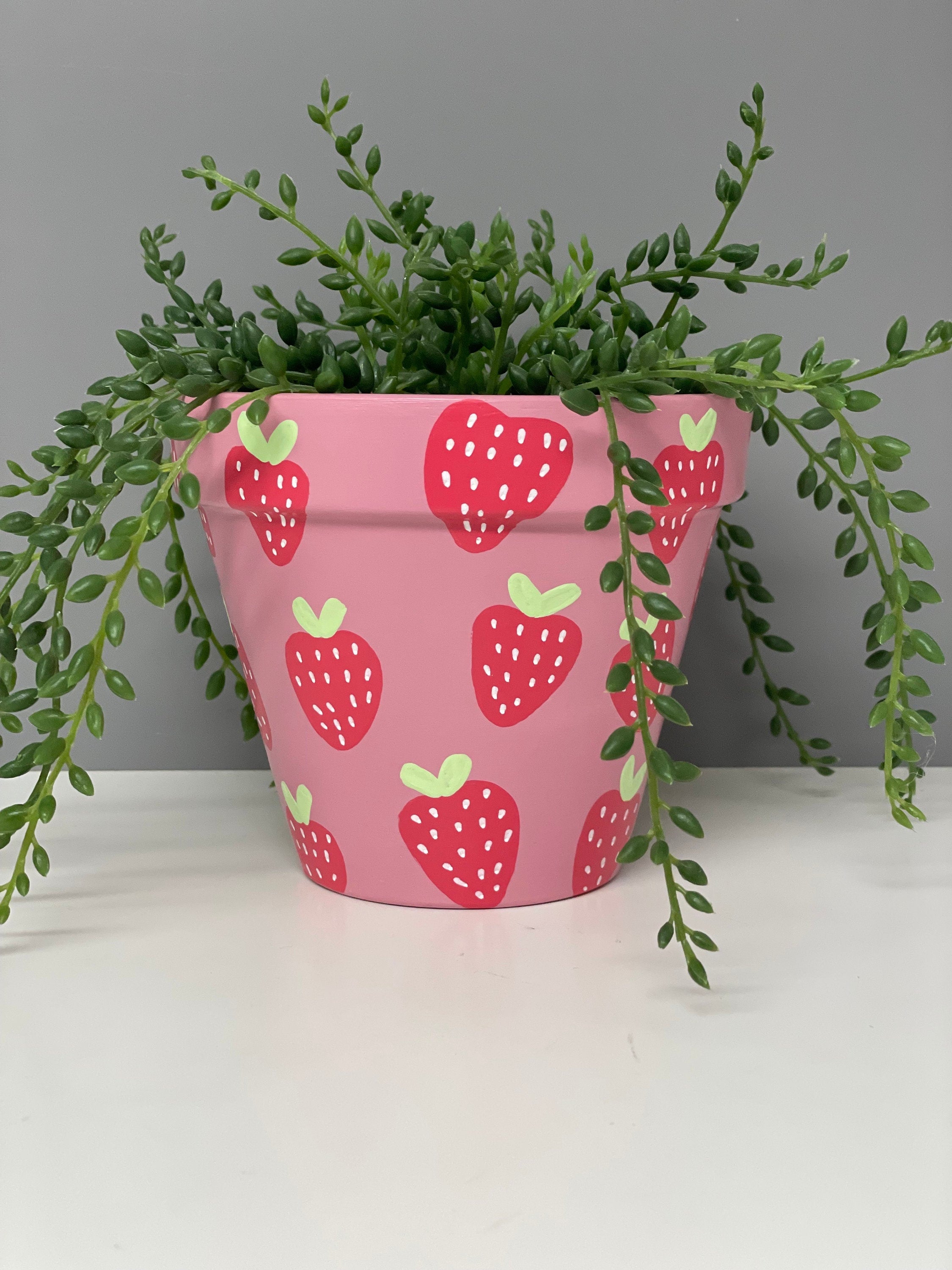 Stawberry Pink hand painted terracotta plant pot, indoor plants, home plants, custom plant pots.