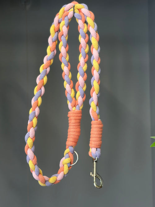 Chunky braided macrame dog lead
