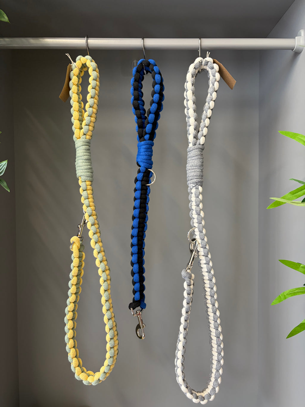 Chunky macrame dog lead