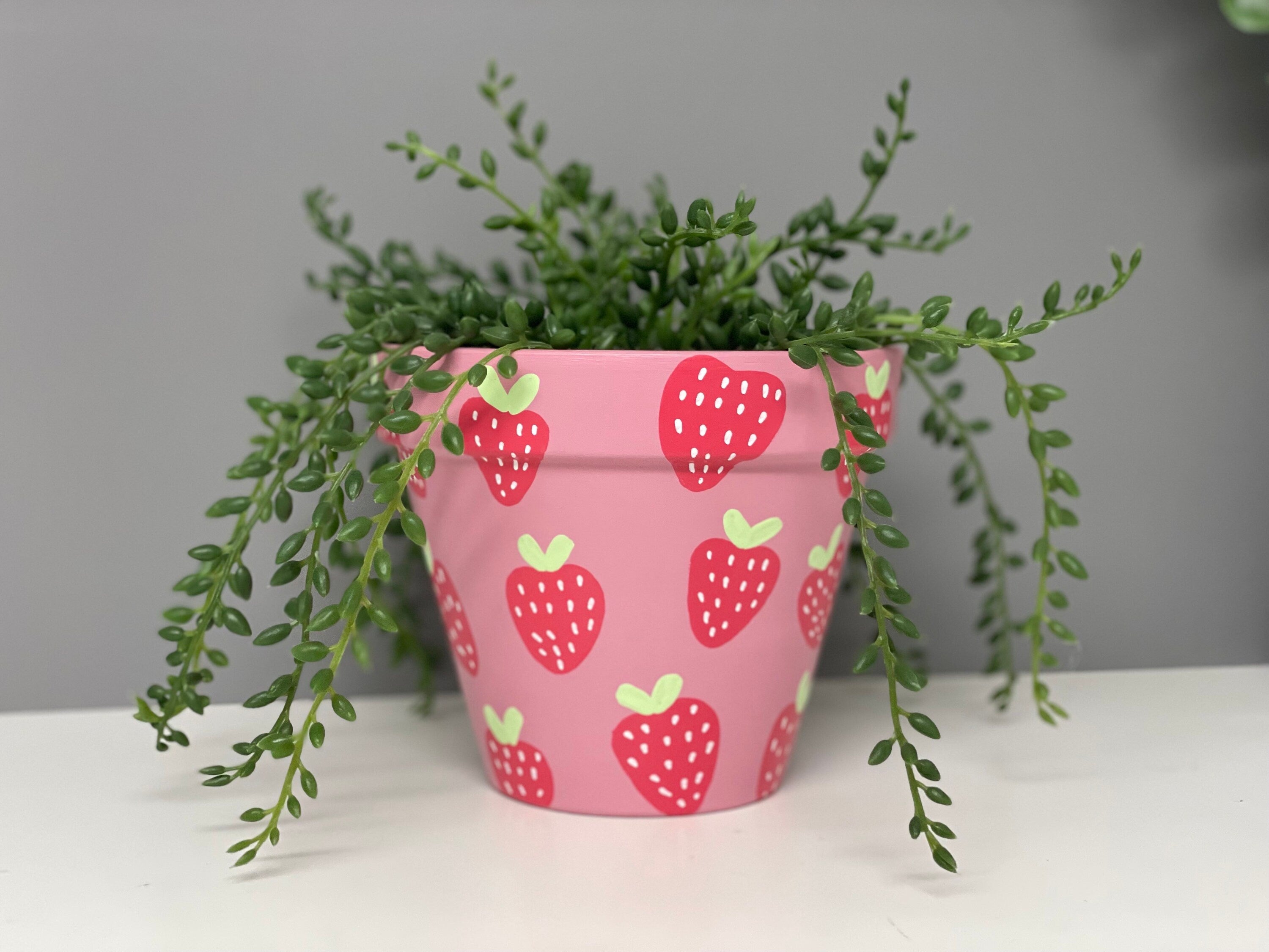 Stawberry Pink hand painted terracotta plant pot, indoor plants, home plants, custom plant pots.