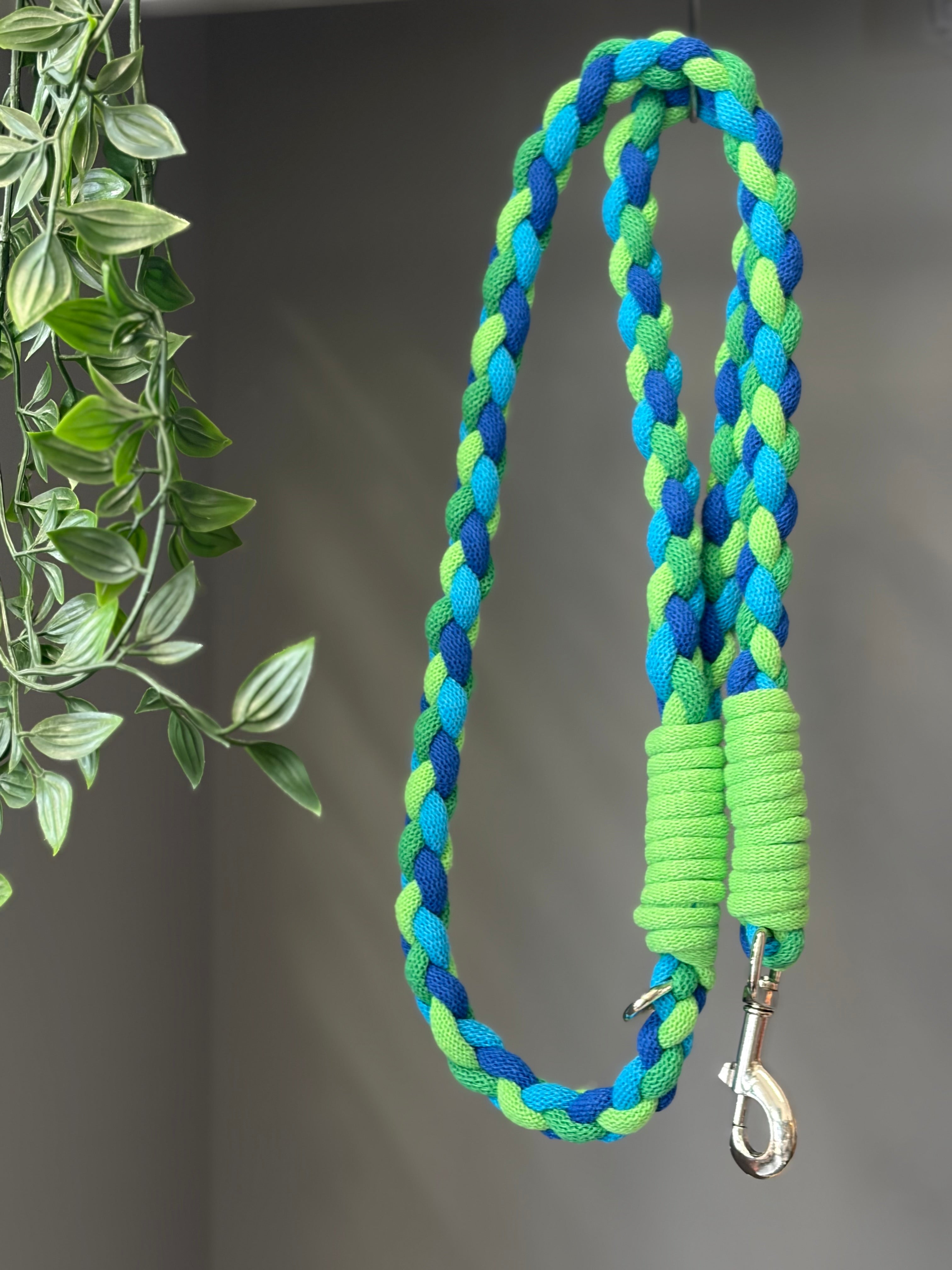 Chunky braided macrame dog lead