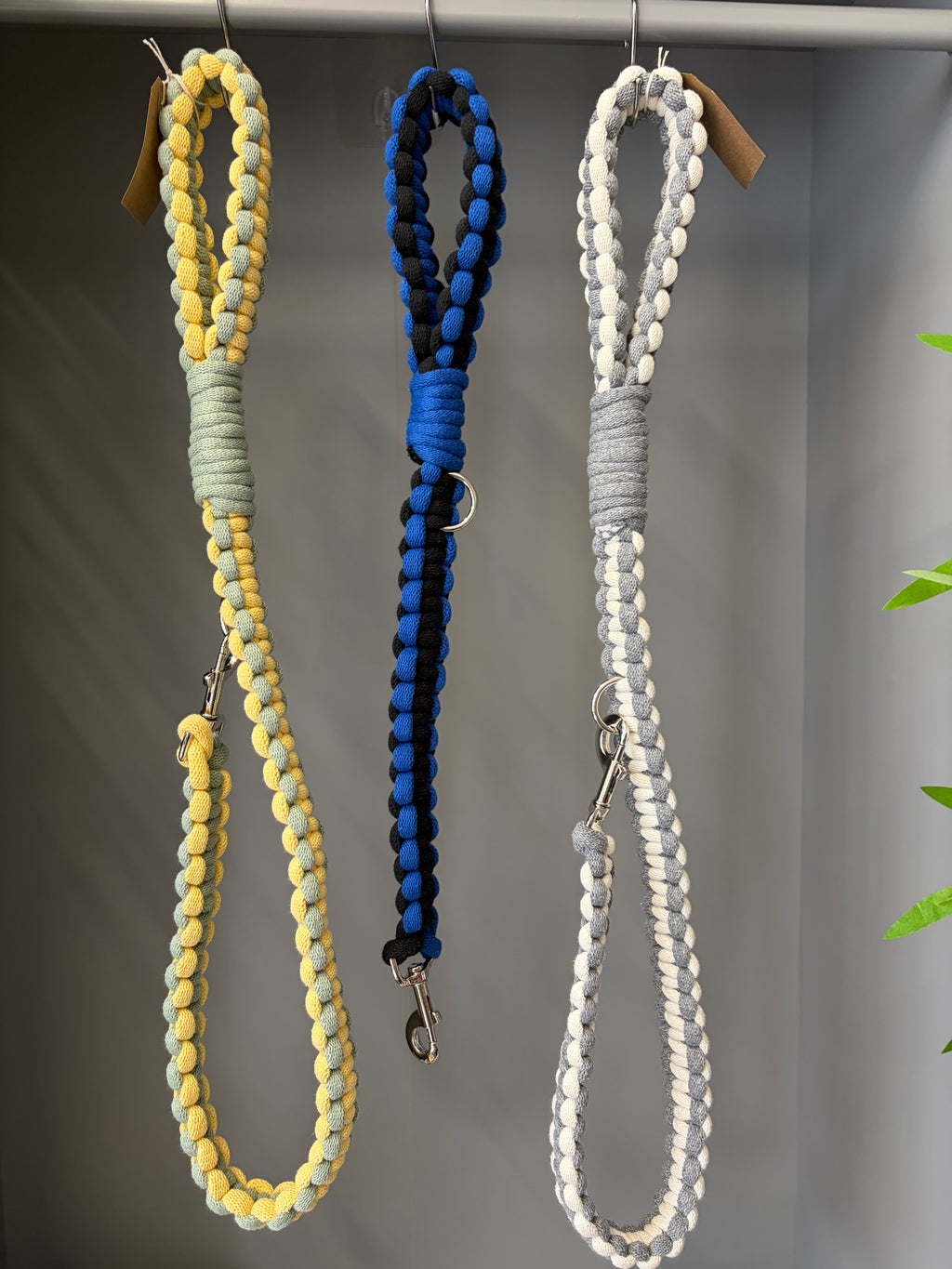 Chunky macrame dog lead