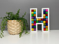 Wooden felt Pom Pom filled letter - A-Z wall letters - nursery decor - rainbow letters