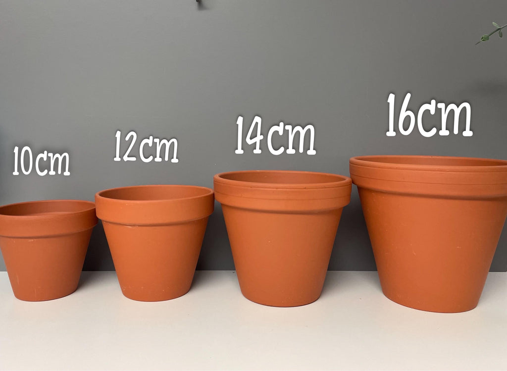 Stawberry Pink hand painted terracotta plant pot, indoor plants, home plants, custom plant pots.