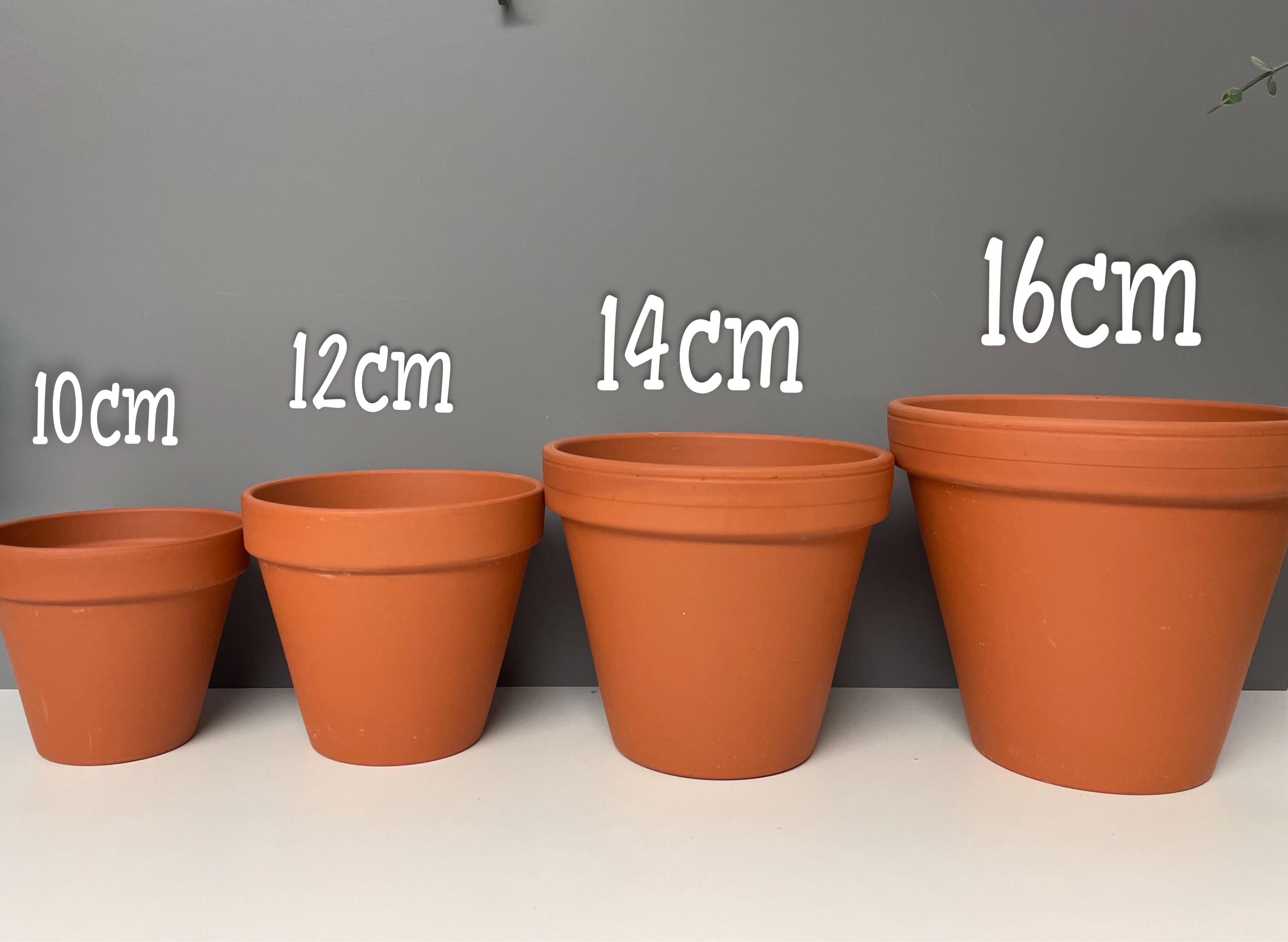 Stawberry Pink hand painted terracotta plant pot, indoor plants, home plants, custom plant pots.