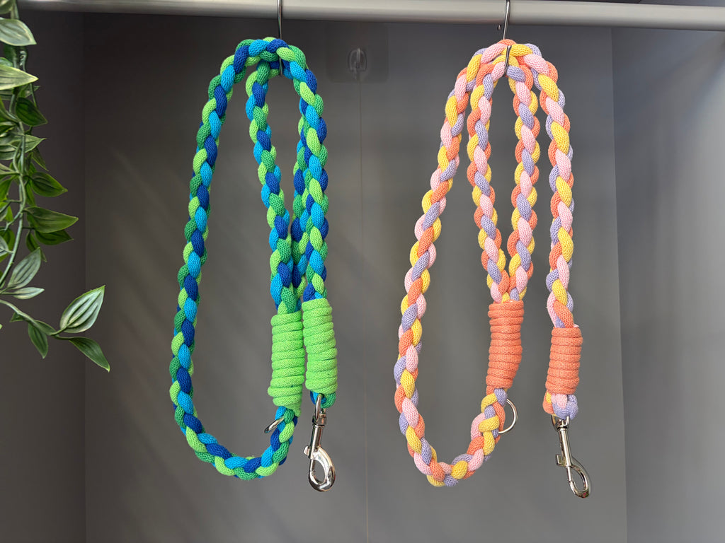 Chunky braided macrame dog lead