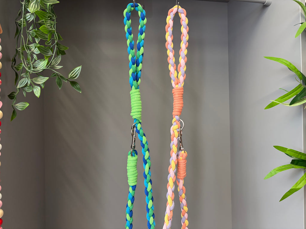Chunky braided macrame dog lead