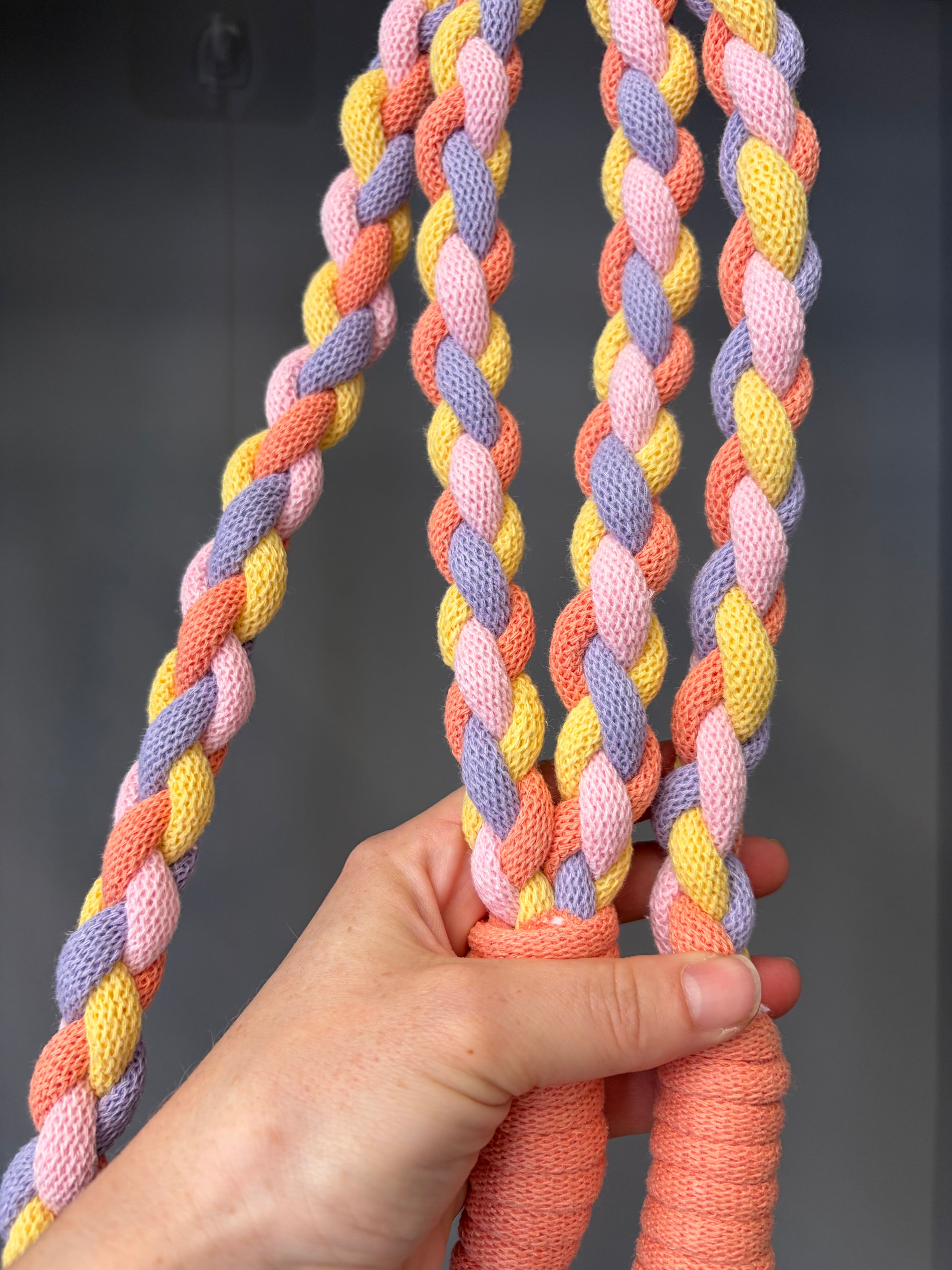 Chunky braided macrame dog lead