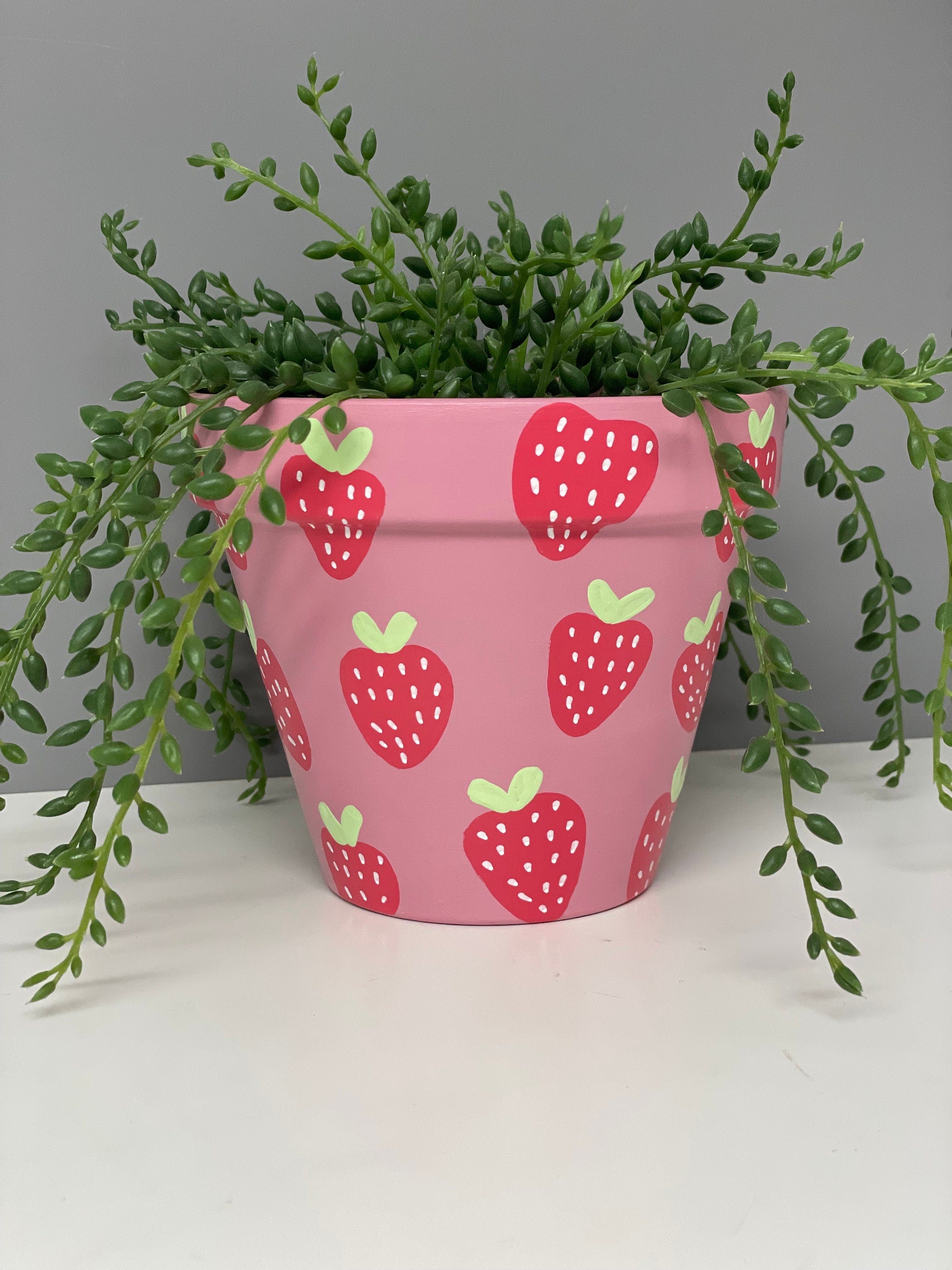 Stawberry Pink hand painted terracotta plant pot, indoor plants, home plants, custom plant pots.