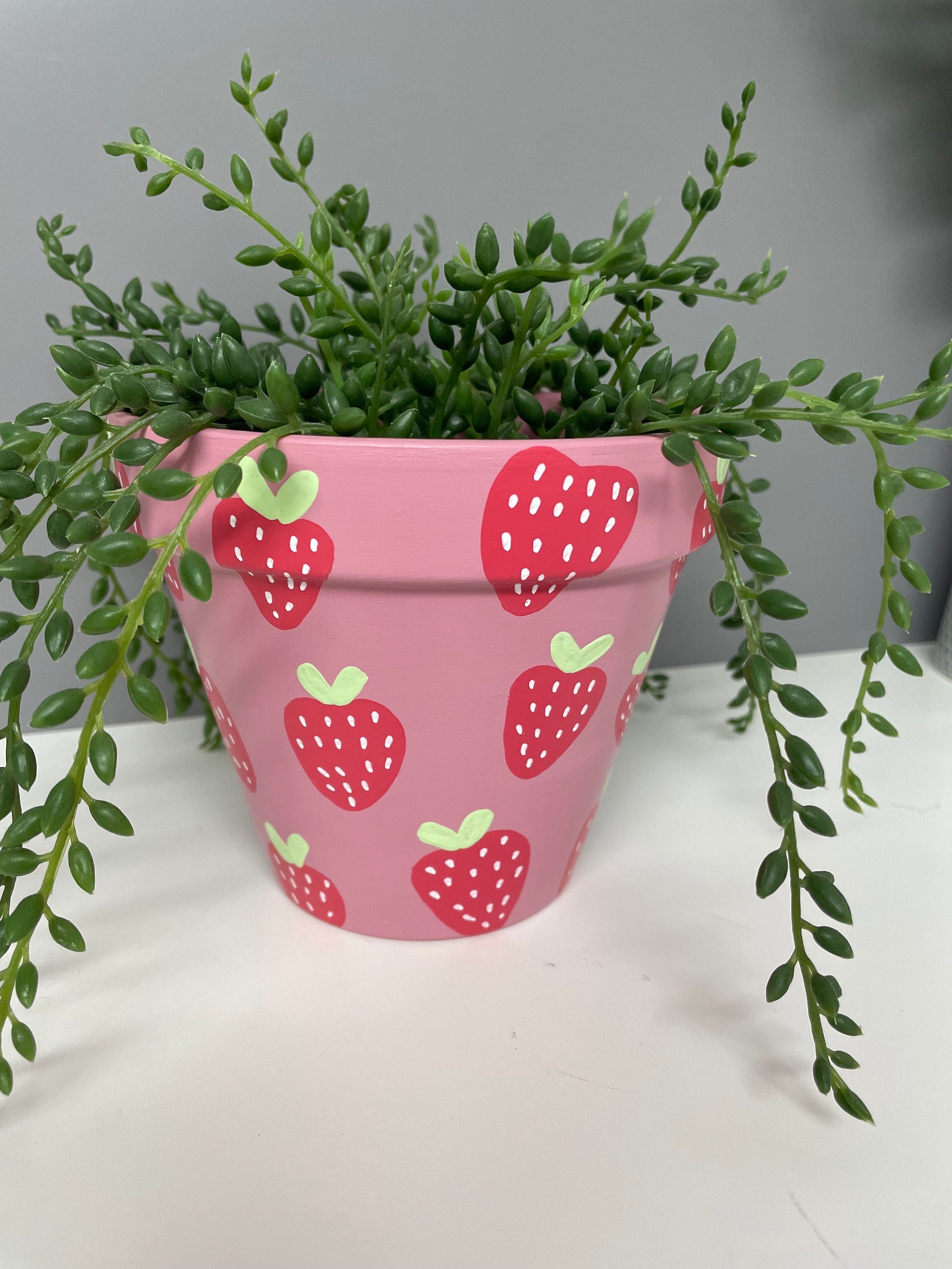 Stawberry Pink hand painted terracotta plant pot, indoor plants, home plants, custom plant pots.
