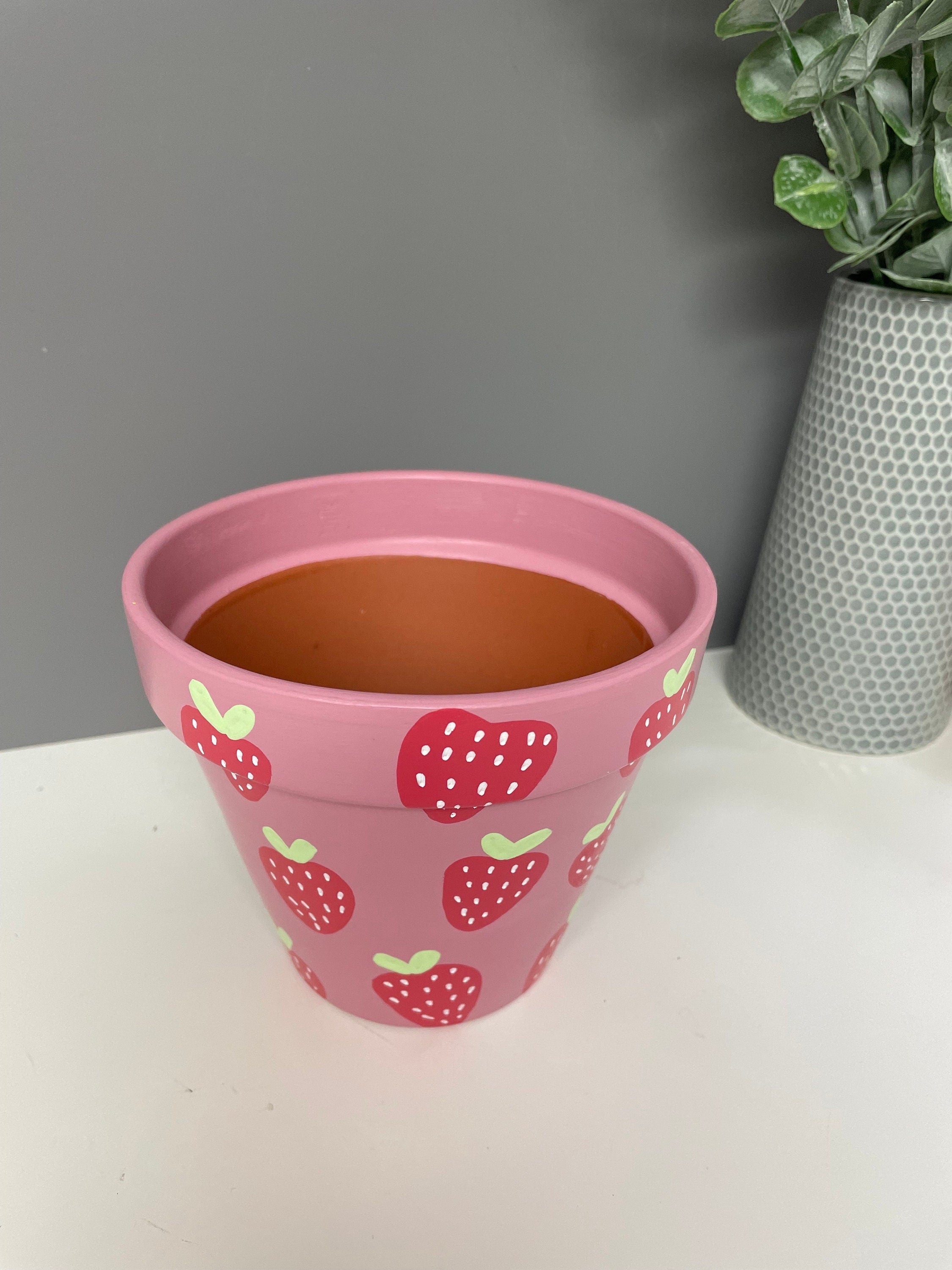 Stawberry Pink hand painted terracotta plant pot, indoor plants, home plants, custom plant pots.