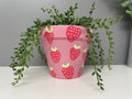 Stawberry Pink hand painted terracotta plant pot, indoor plants, home plants, custom plant pots.