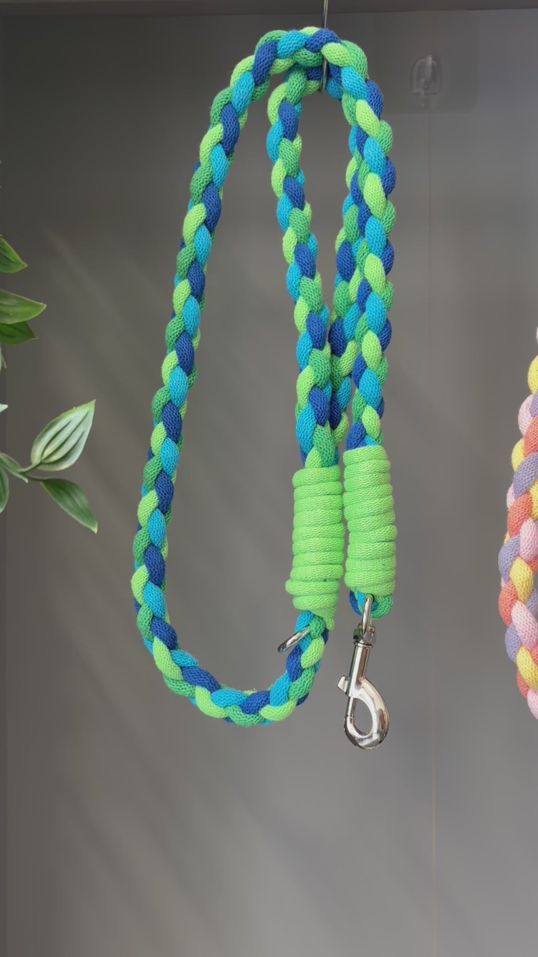 Chunky braided macrame dog lead